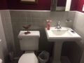 Bathroom Remodel In Bryn Mawr - Before 2