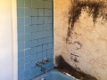 Roxborough Bathroom Remodeling - Before 1